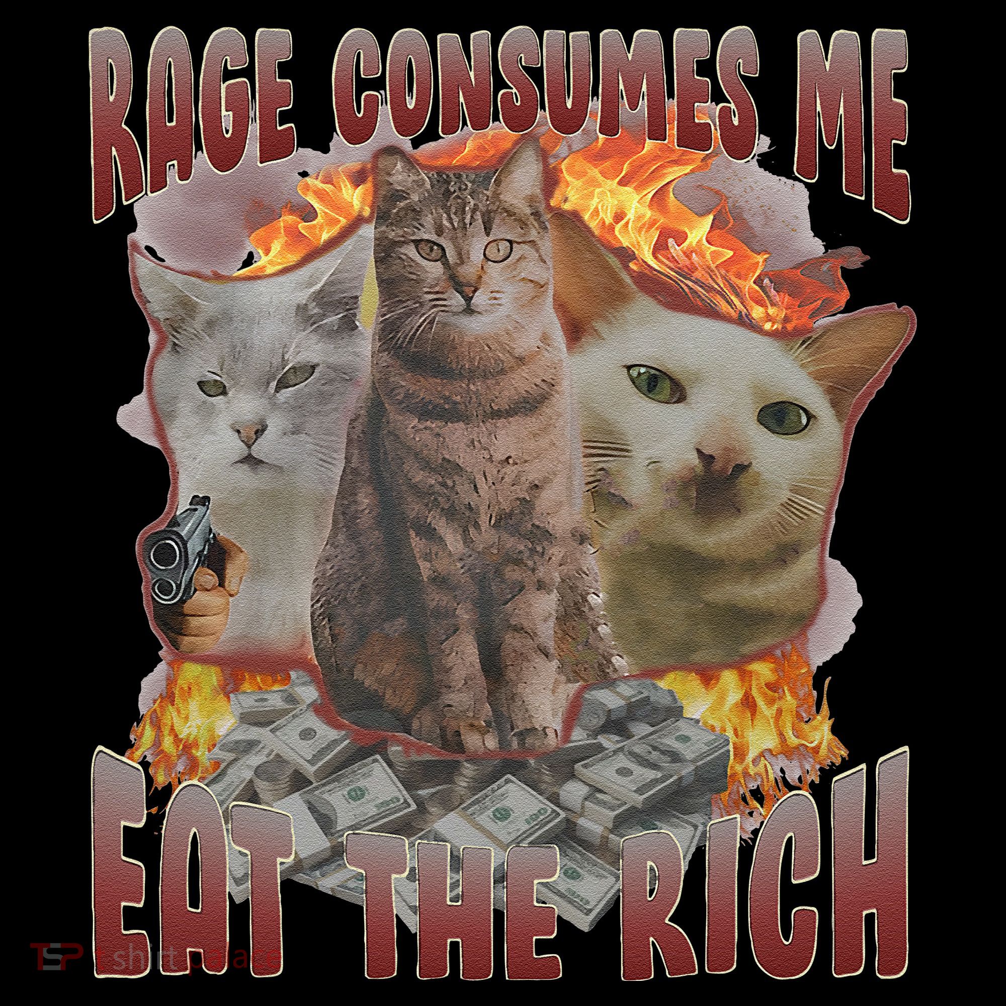 Rage Consumes Me Eat The Rich Feminist Funny Cat Meme Coffee Mug