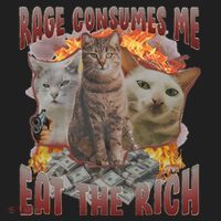 Rage Consumes Me Eat The Rich Feminist Funny Cat Meme Beanie thumb 2