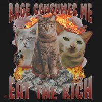 Rage Consumes Me Eat The Rich Feminist Funny Cat Meme Women's Hoodie thumb 2