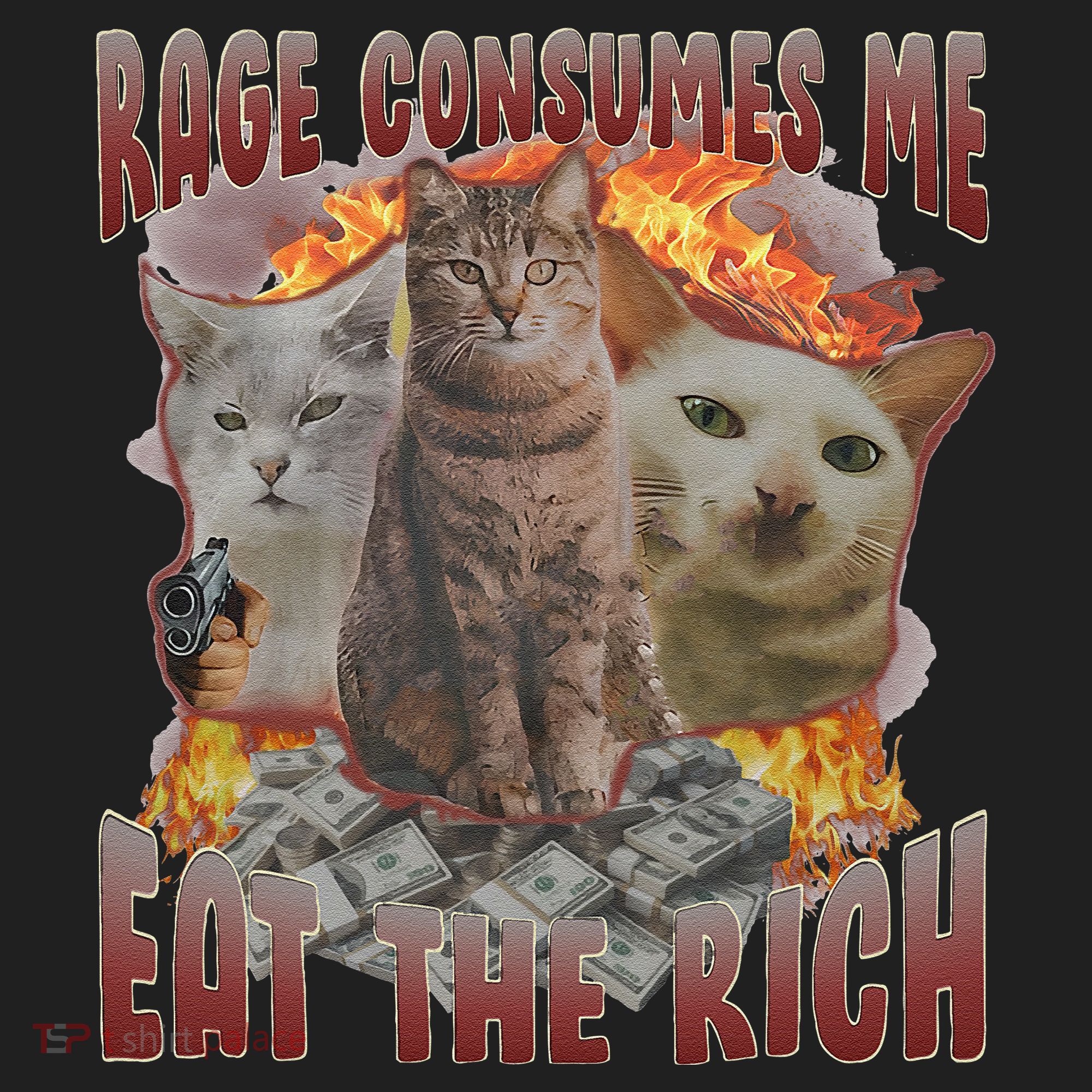 Rage Consumes Me Eat The Rich Feminist Funny Cat Meme Tumbler