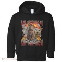 Rage Consumes Me Eat The Rich Feminist Funny Cat Meme Toddler Hoodie thumb 0