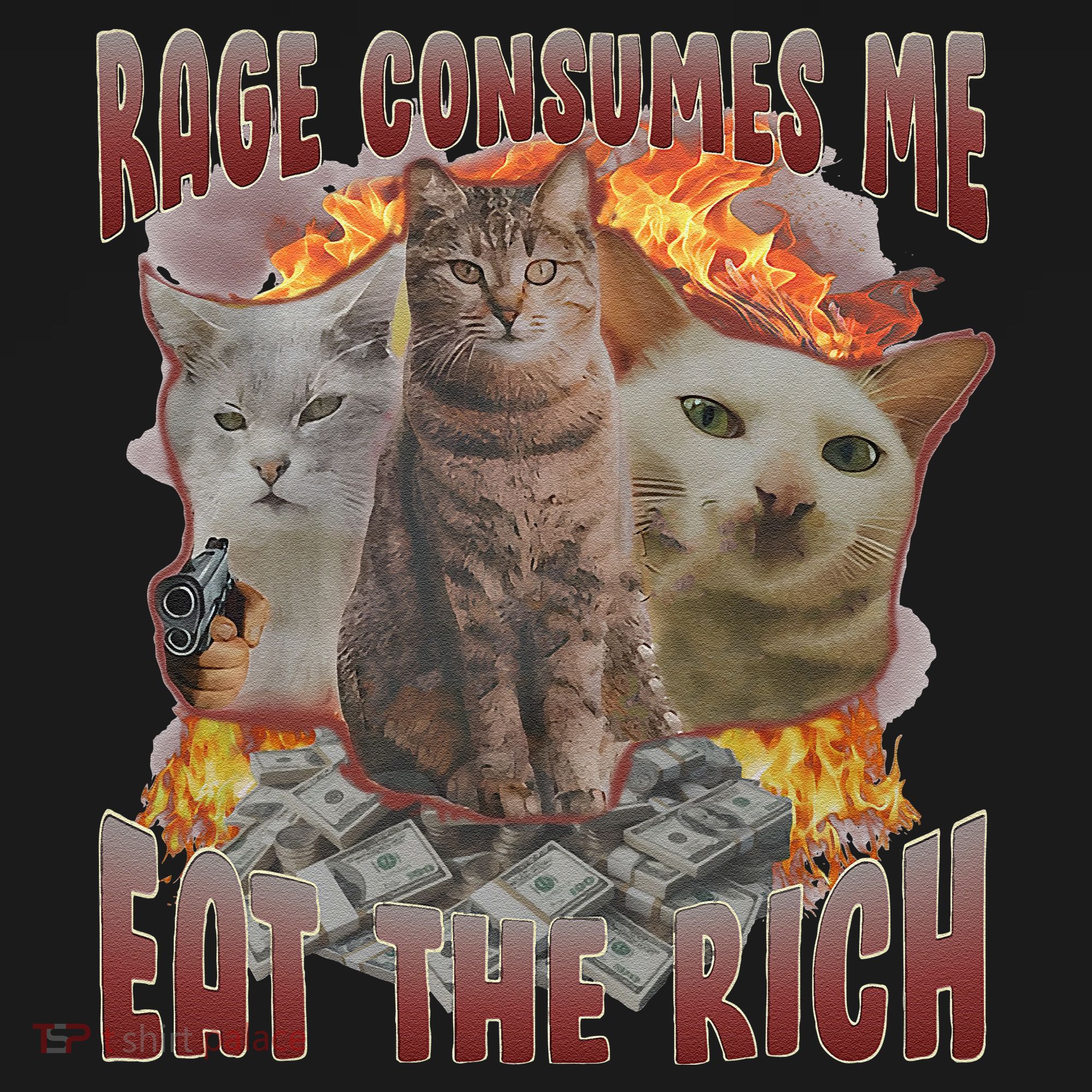 Rage Consumes Me Eat The Rich Feminist Funny Cat Meme Visor
