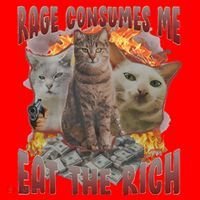 Rage Consumes Me Eat The Rich Feminist Funny Cat Meme Santa Hat thumb 1