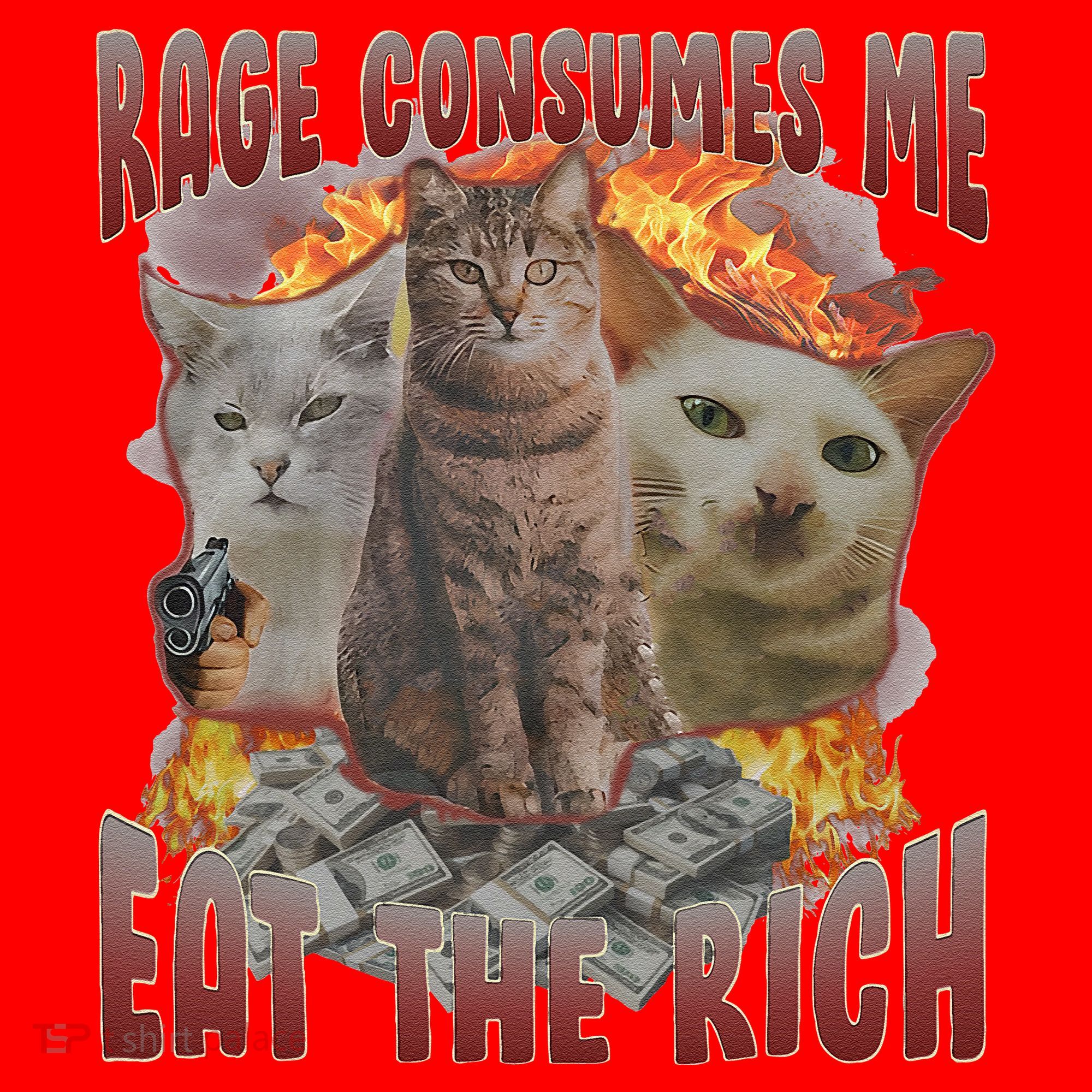 Rage Consumes Me Eat The Rich Feminist Funny Cat Meme Santa Hat