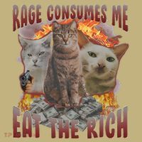 Rage Consumes Me Eat The Rich Feminist Funny Cat Meme Long Sleeve Shirt thumb 2