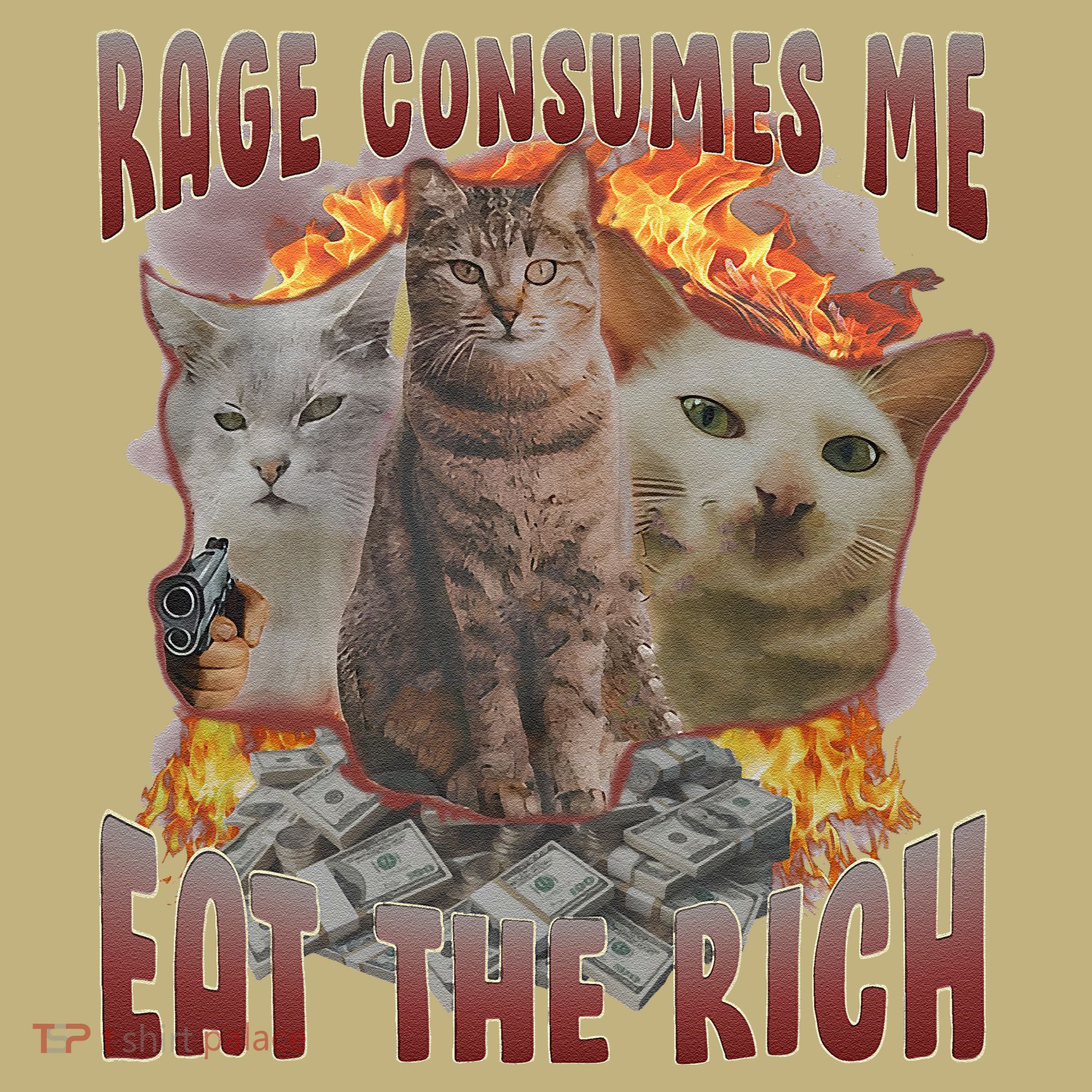 Rage Consumes Me Eat The Rich Feminist Funny Cat Meme Long Sleeve Shirt