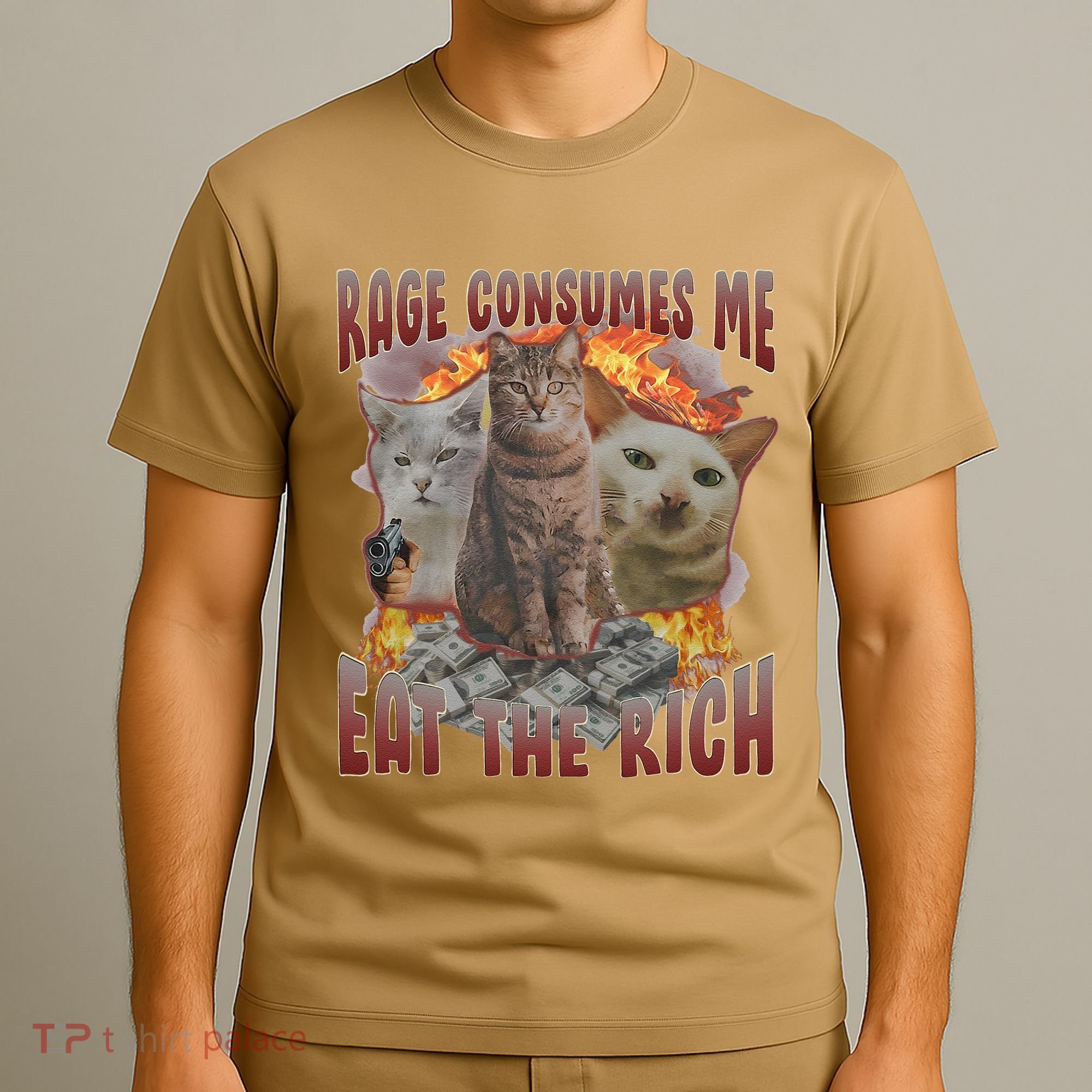 Rage Consumes Me Eat The Rich Feminist Funny Cat Meme T-Shirt