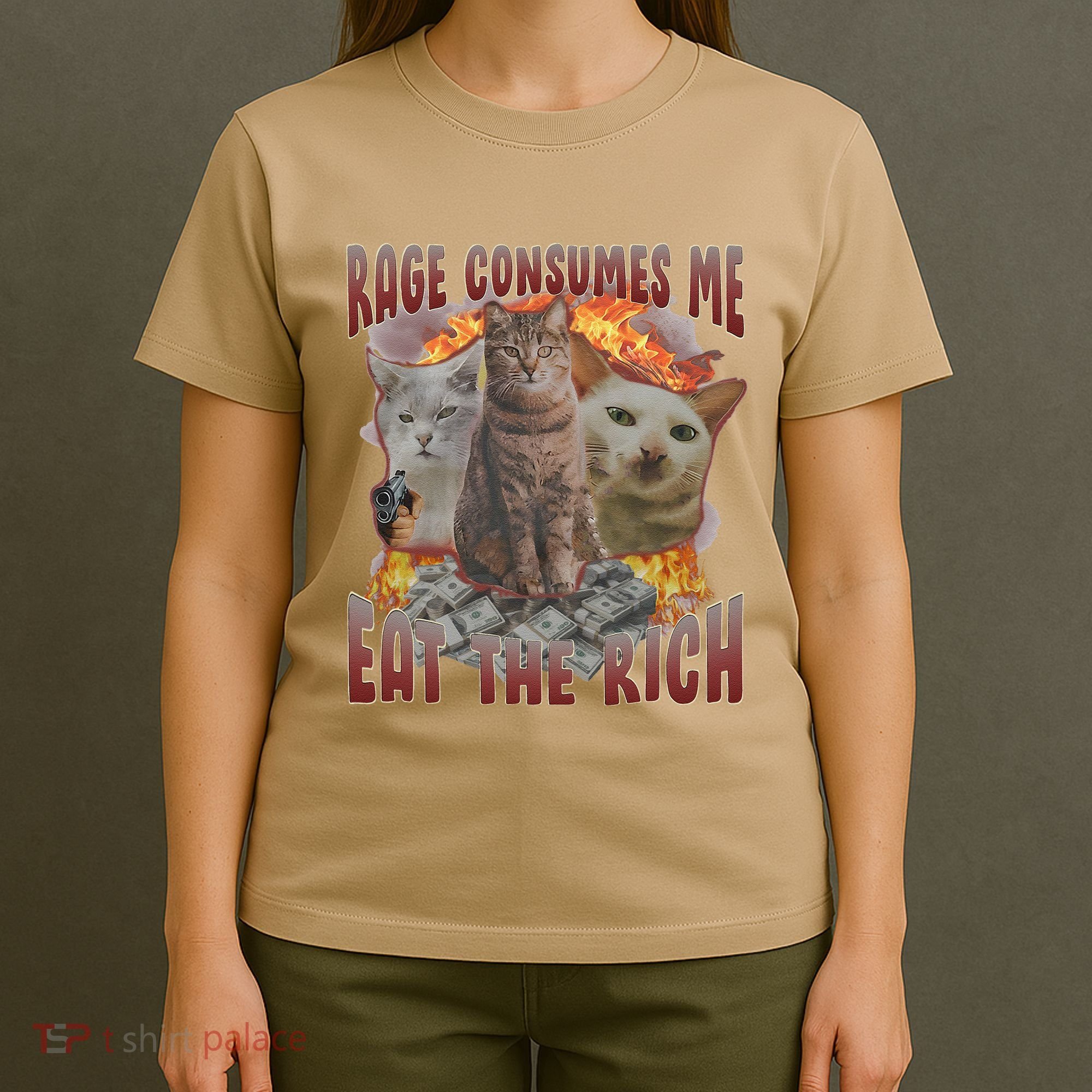 Rage Consumes Me Eat The Rich Feminist Funny Cat Meme T-Shirt