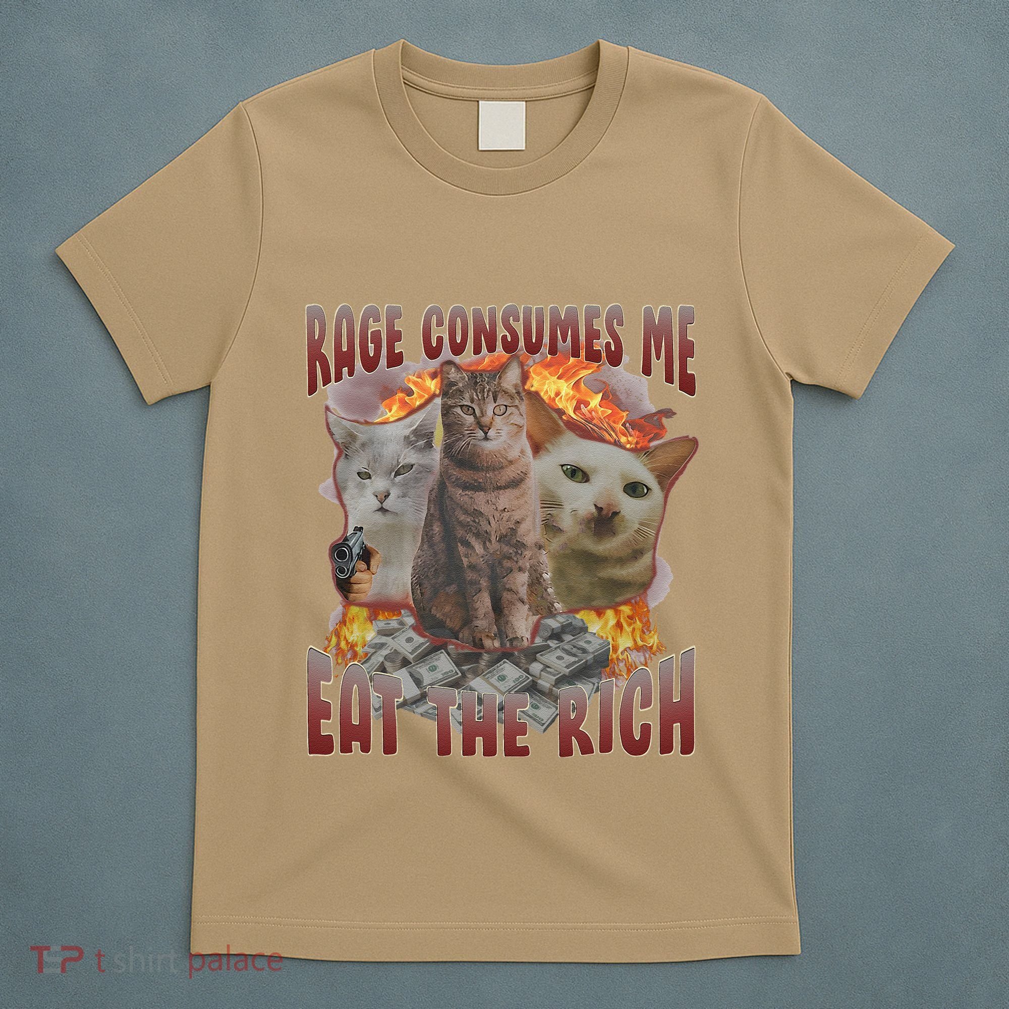 Rage Consumes Me Eat The Rich Feminist Funny Cat Meme T-Shirt