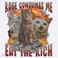 Rage Consumes Me Eat The Rich Feminist Funny Cat Meme Garment-Dyed Sweatshirt thumb 2