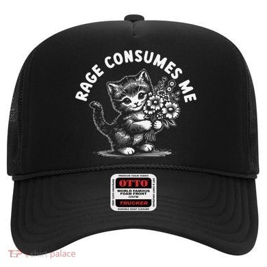 Rage Consumes Me Cat Funny Hilarious Kitten Meme Hat