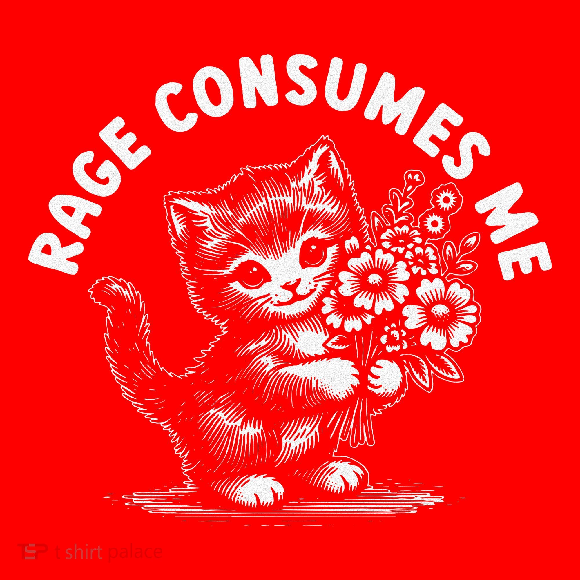 Rage Consumes Me Cat Funny Hilarious Kitten Meme Santa Hat