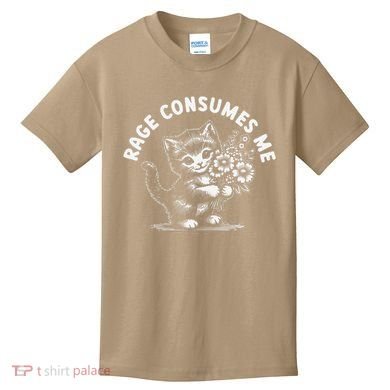 Rage Consumes Me Cat Funny Hilarious Kitten Meme Kids T-Shirt
