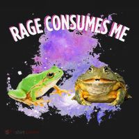 Rage Consumes Me Meme Oddly Specific Memes Funny Memes Frog Baby Bodysuit thumb 2
