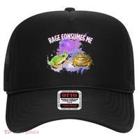 Rage Consumes Me Meme Oddly Specific Memes Funny Memes Frog Hat thumb 0