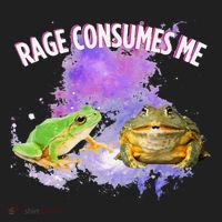 Rage Consumes Me Meme Oddly Specific Memes Funny Memes Frog Hat thumb 2