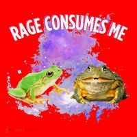 Rage Consumes Me Meme Oddly Specific Memes Funny Memes Frog Santa Hat thumb 1