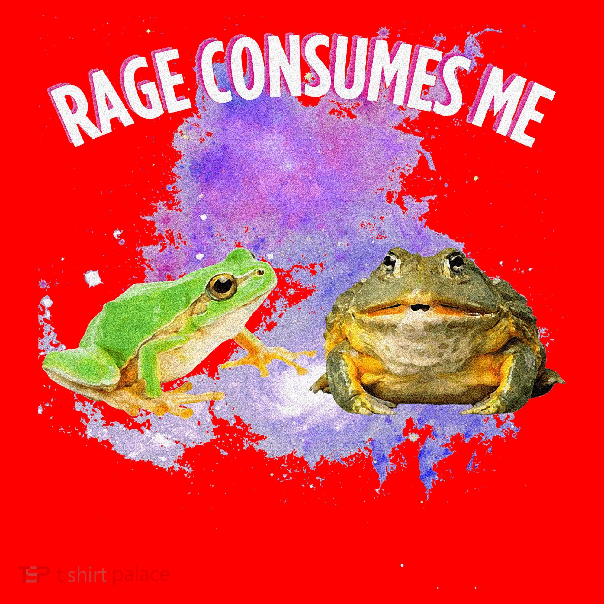 Rage Consumes Me Meme Oddly Specific Memes Funny Memes Frog Santa Hat