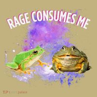 Rage Consumes Me Meme Oddly Specific Memes Funny Memes Frog Button thumb 1