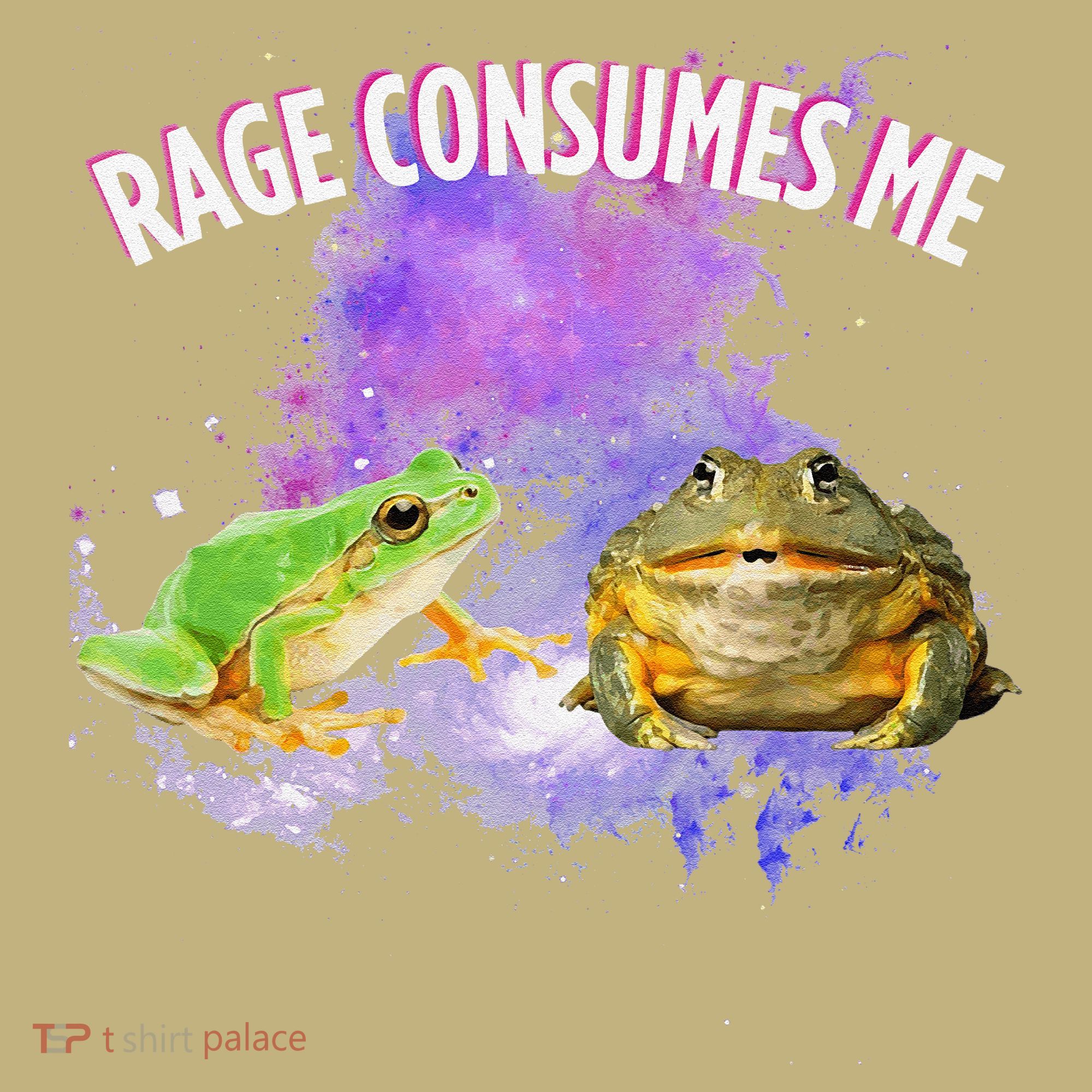 Rage Consumes Me Meme Oddly Specific Memes Funny Memes Frog Kids T-Shirt