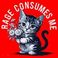 Rage Consumes Me Funny Cat Meme Santa Hat thumb 1
