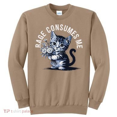 Rage Consumes Me Funny Cat Meme Sweatshirt
