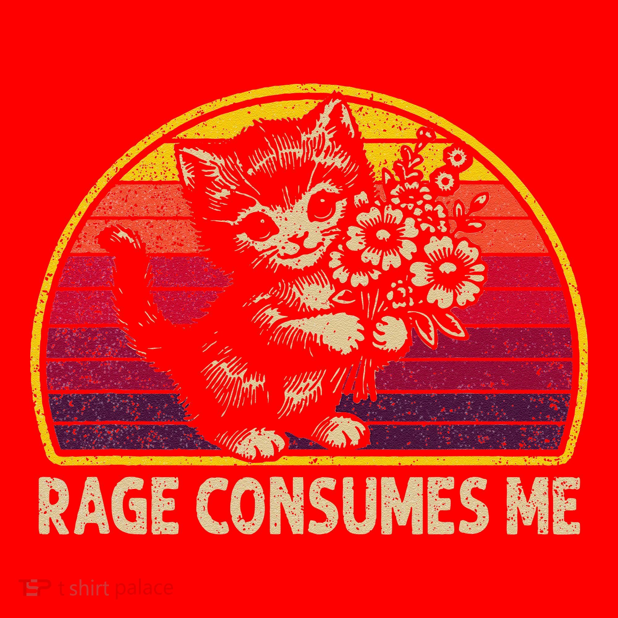 Rage Consumes Me Funny Cat Humor Joke Santa Hat