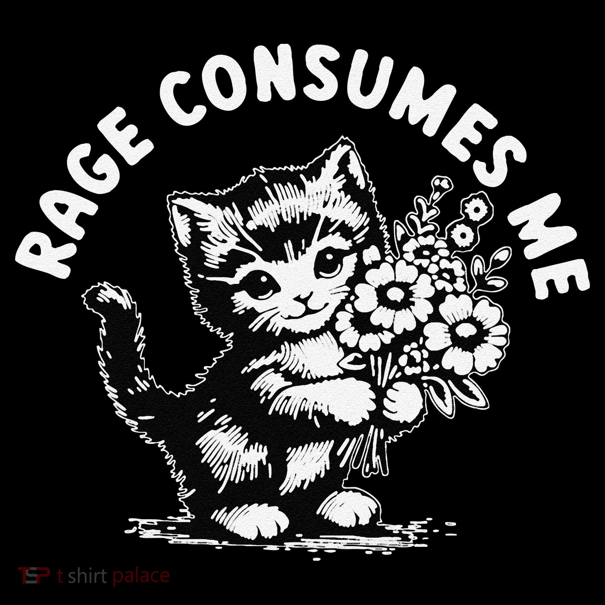 Rage Consumes Me Weirdcore Funny Hilarious Kitten Meme Coaster