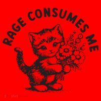 Rage Consumes Me Weirdcore Funny Hilarious Kitten Meme Santa Hat thumb 1