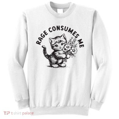 Rage Consumes Me Weirdcore Funny Hilarious Kitten Meme Sweatshirt