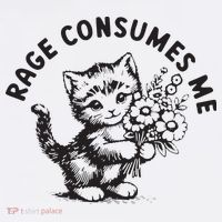 Rage Consumes Me Weirdcore Funny Hilarious Kitten Meme Women's Tank Top thumb 5