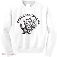 Rage Consumes Me Weirdcore Funny Hilarious Kitten Meme Kids Sweatshirt thumb 0