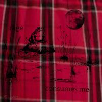 Rage Consumes Me Frog Funny Men's Flannel Plaid Pajama Pants thumb 2