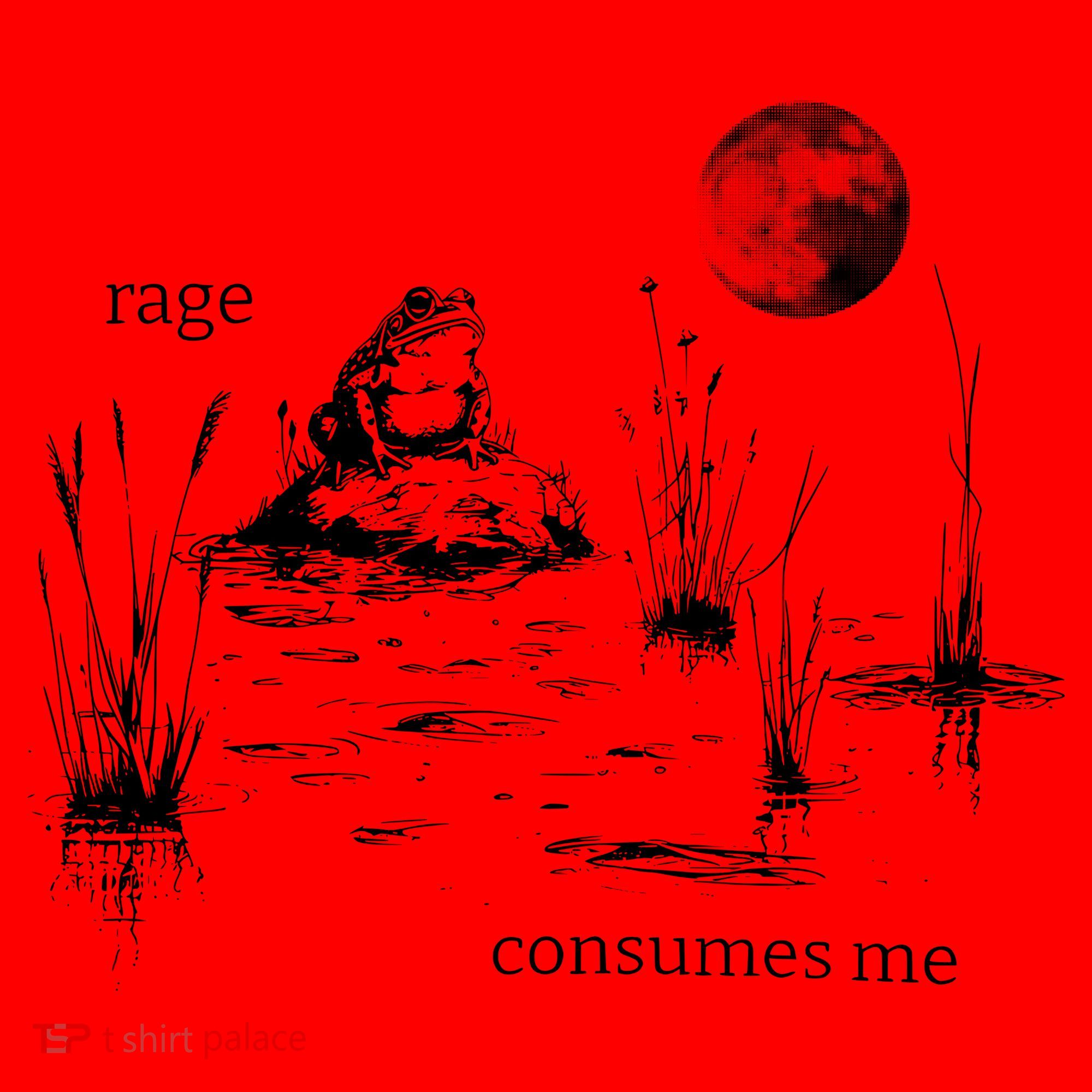 Rage Consumes Me Frog Funny Santa Hat
