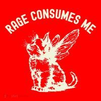 Rage Consumes Me Cat Flower Cute Kitty Cat Meme Santa Hat thumb 1
