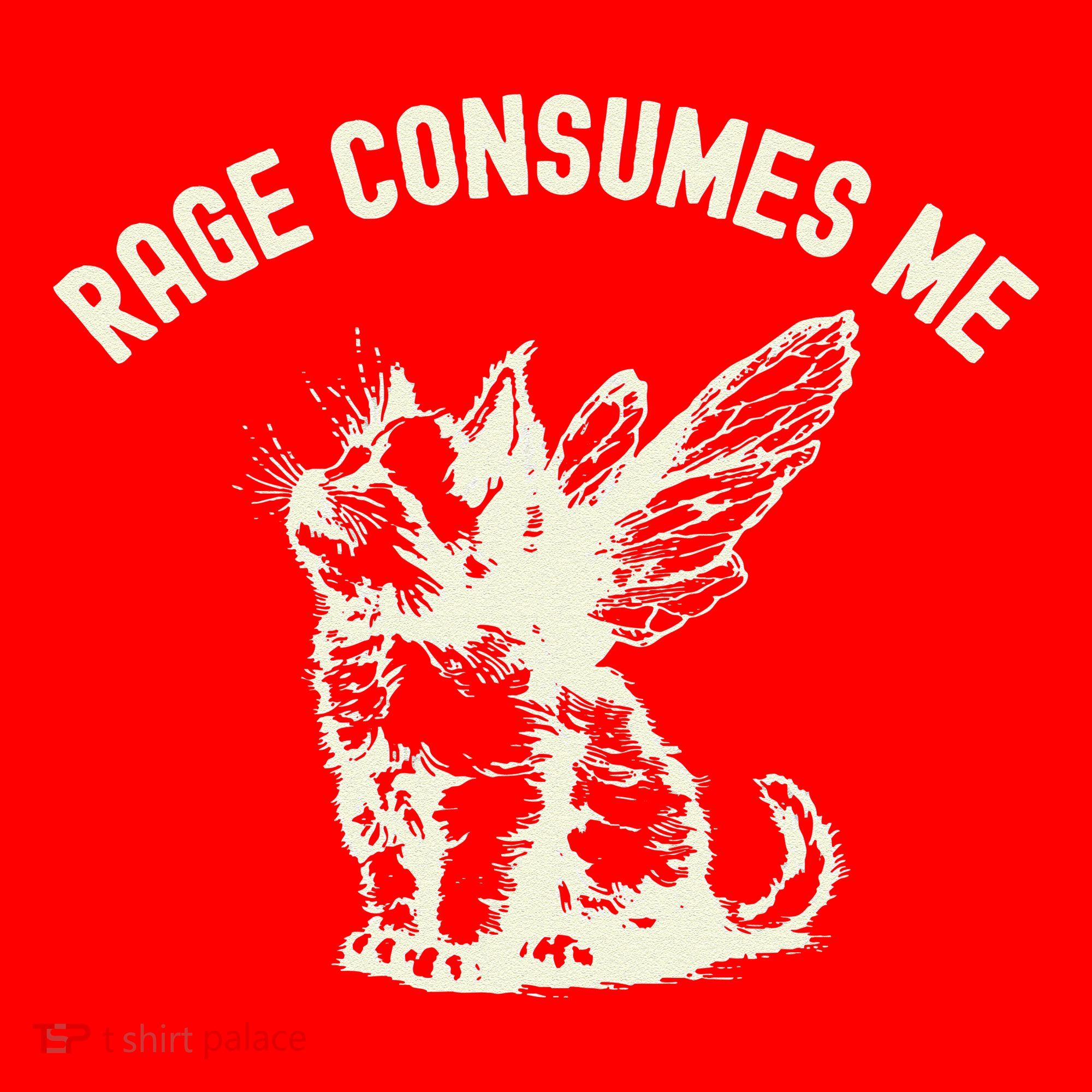 Rage Consumes Me Cat Flower Cute Kitty Cat Meme Santa Hat