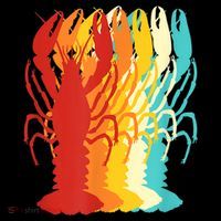 Retro Crawfish Novelty Cajun Crayfish Hoodie thumb 7