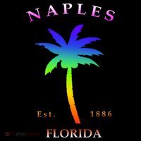 Retro Cool Original Naples Florida Beach Palm Tree Gift Women's Hoodie thumb 2