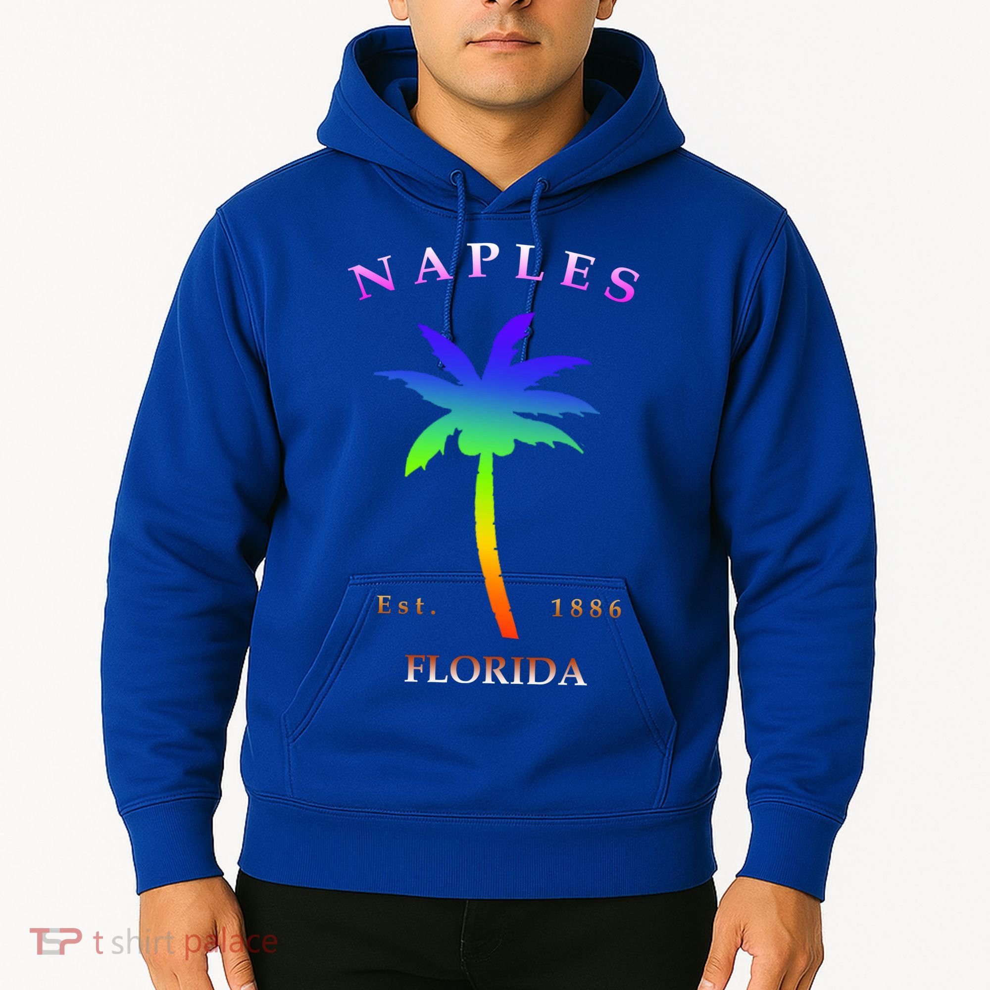 Retro Cool Original Naples Florida Beach Palm Tree Gift Hoodie