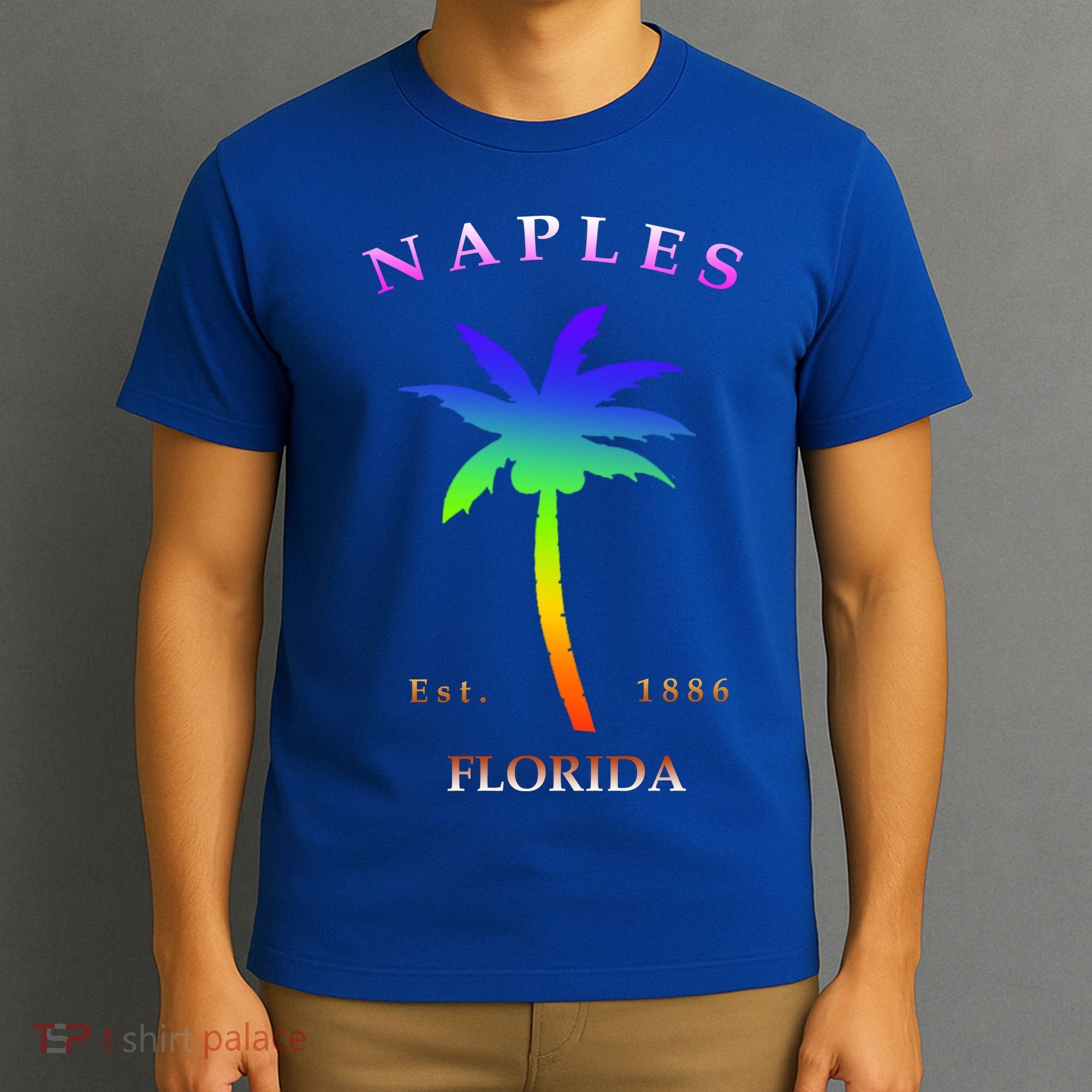 Retro Cool Original Naples Florida Beach Palm Tree Gift T-Shirt