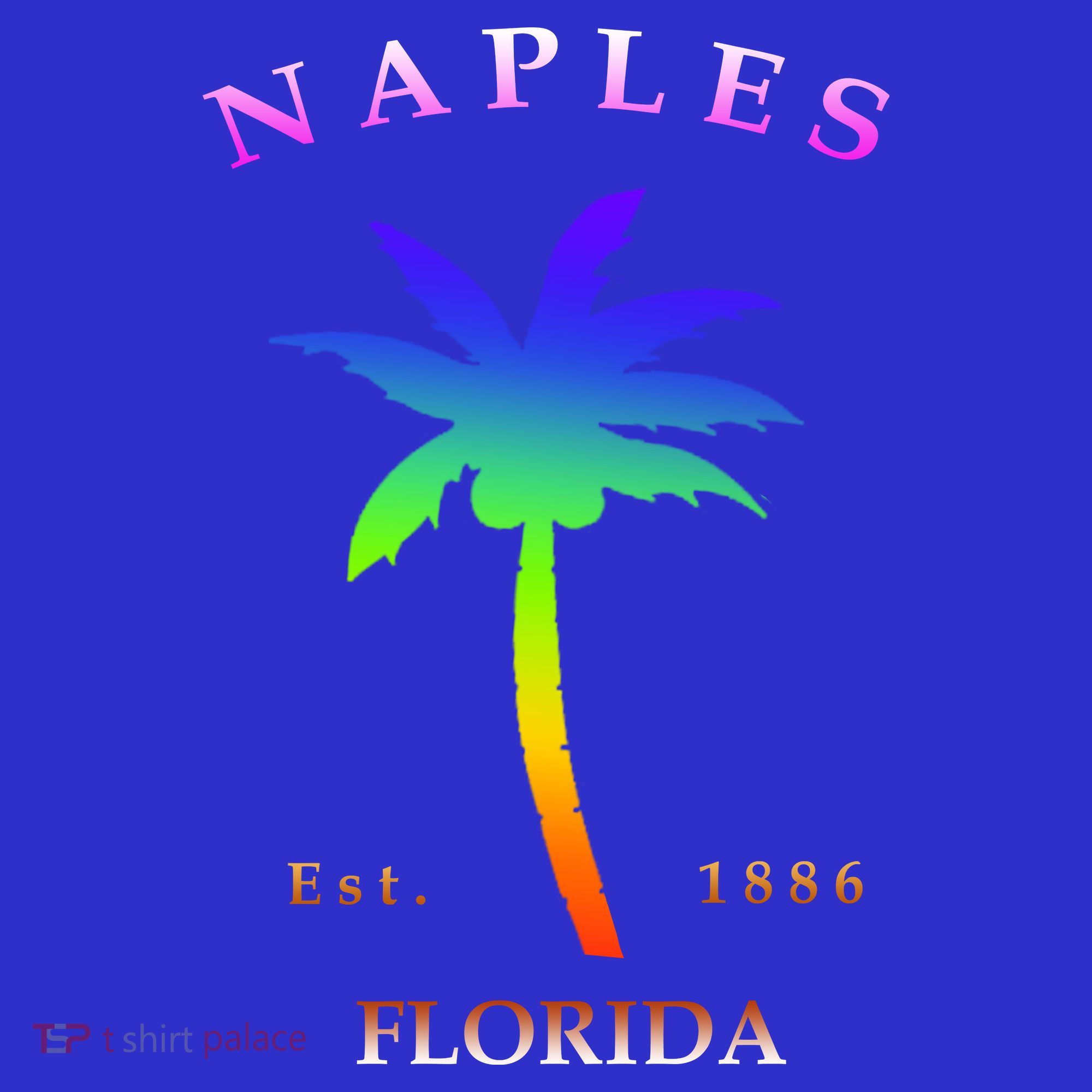 Retro Cool Original Naples Florida Beach Palm Tree Gift Coaster