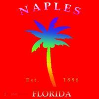Retro Cool Original Naples Florida Beach Palm Tree Gift Santa Hat thumb 1