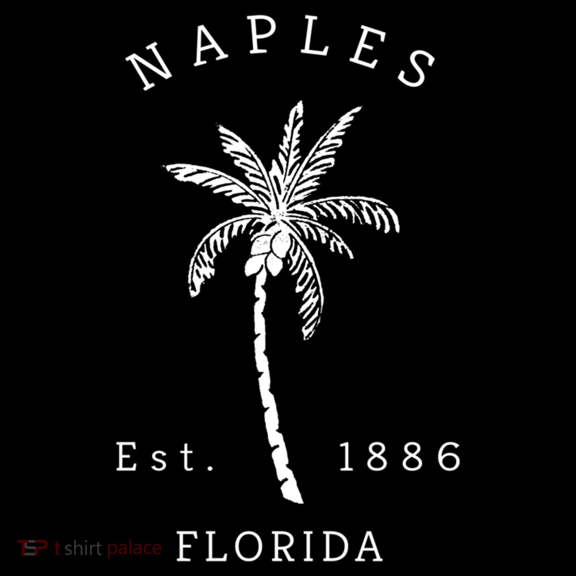 Retro Cool Original Naples Florida Beach Palm Tree Meaningful Gift Hoodie