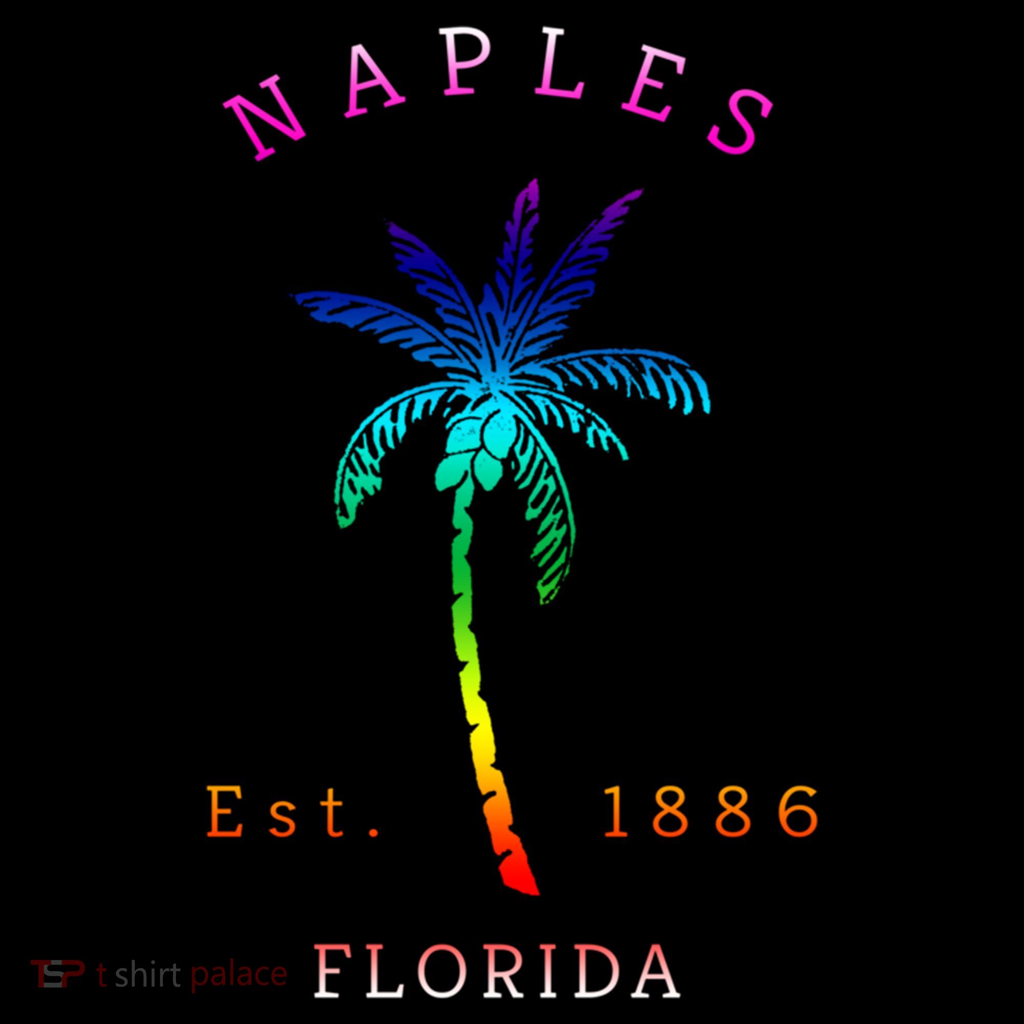 Retro Cool Original Naples Florida Beach Palm Tree Gift Women's Hoodie