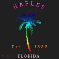 Retro Cool Original Naples Florida Beach Palm Tree Gift Hat thumb 2