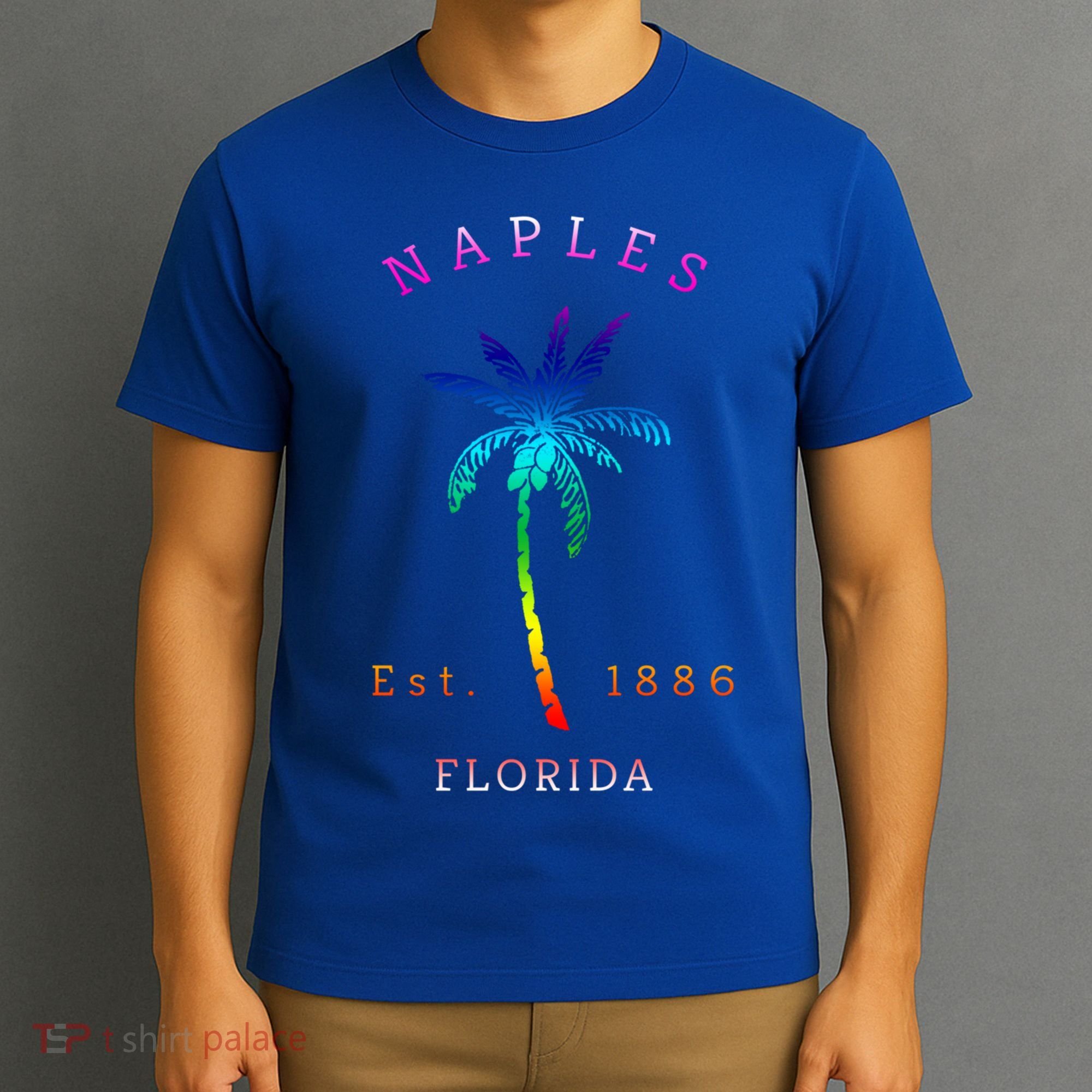 Retro Cool Original Naples Florida Beach Palm Tree Gift T-Shirt