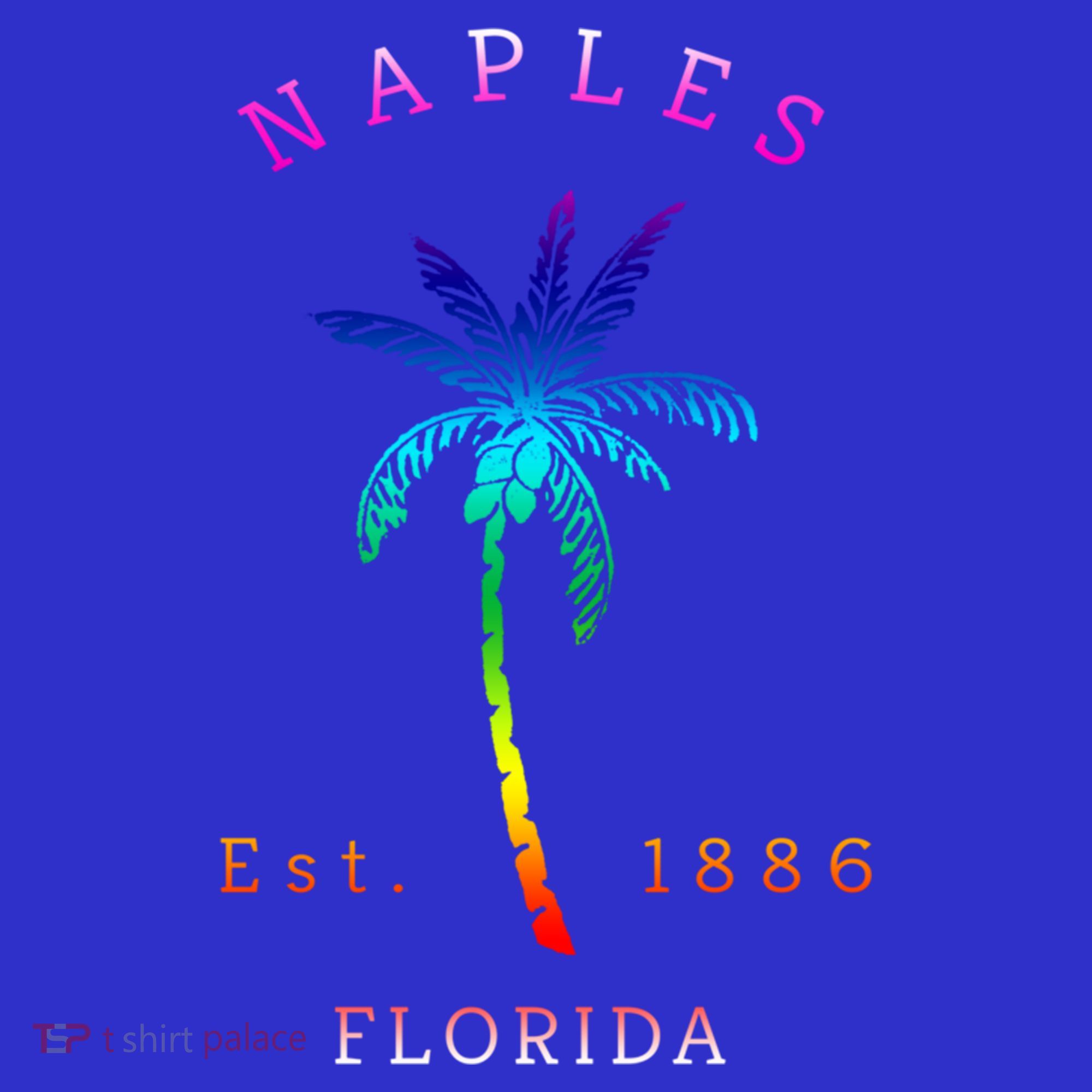 Retro Cool Original Naples Florida Beach Palm Tree Gift Coaster