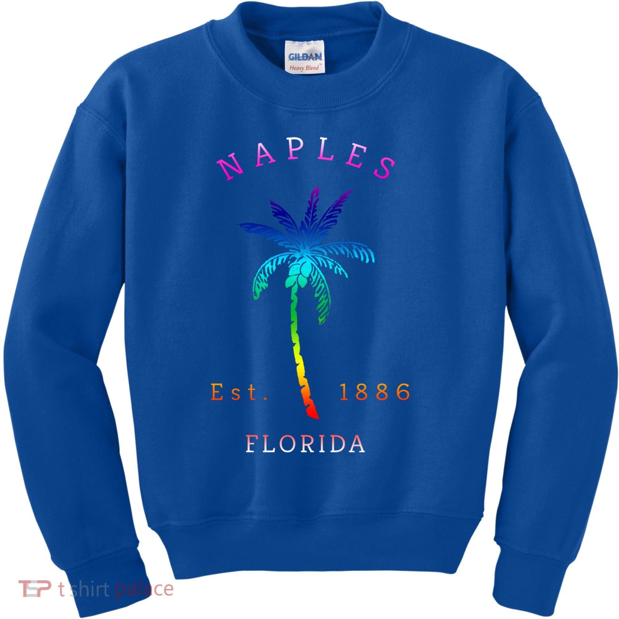 Retro Cool Original Naples Florida Beach Palm Tree Gift Kids Sweatshirt