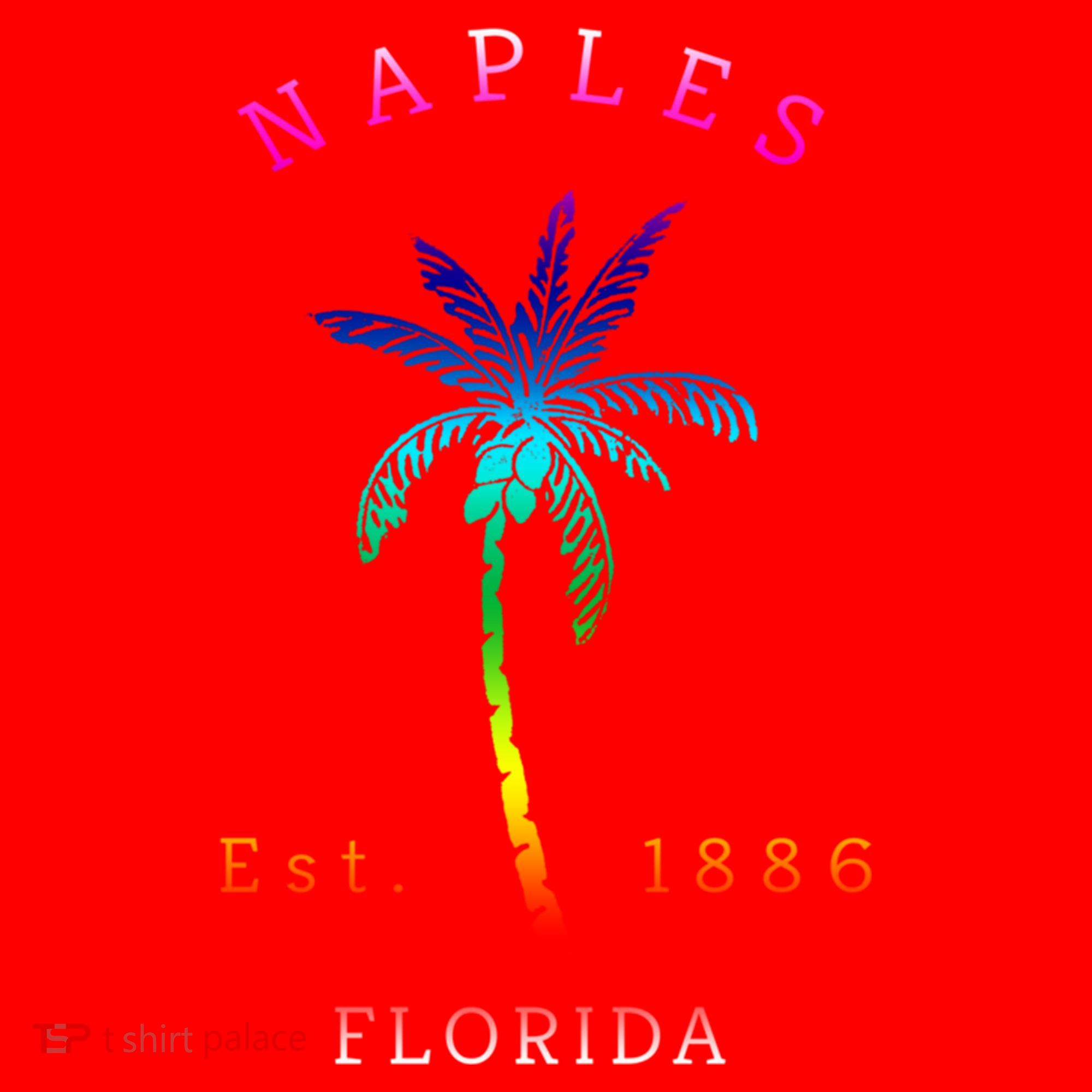 Retro Cool Original Naples Florida Beach Palm Tree Gift Santa Hat