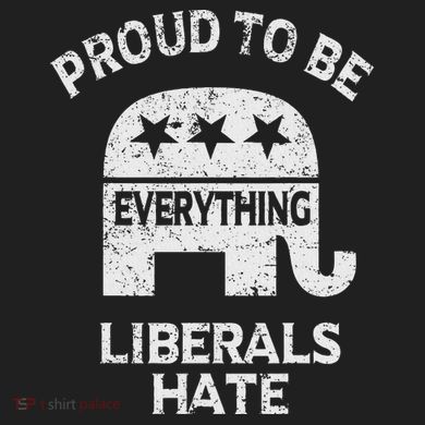 Republican Conservative Proud To Be Everything Liberals Hate Beanie